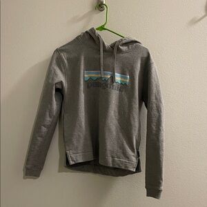 Patagonia Gray Pullover Hoodie